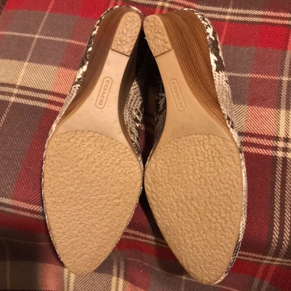Coach snake print wedge - Picture 5 of 6